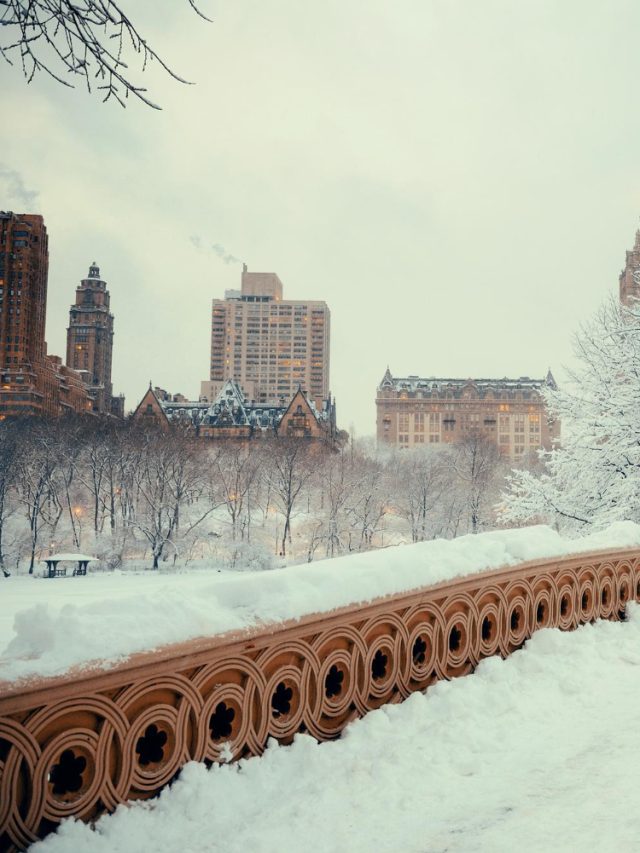 Top Places to Visit in New York City During the Cold Season